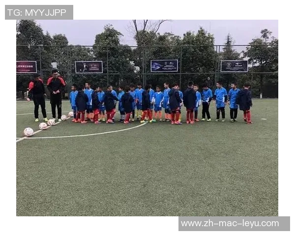 足球赛场上的激情与感悟我的观看比赛日记分享